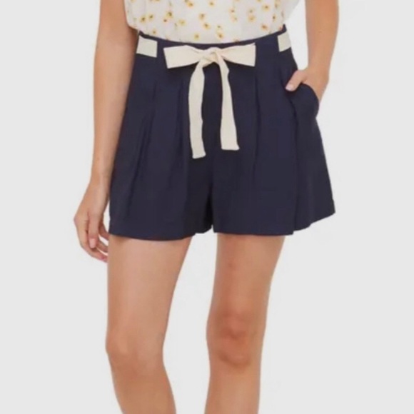 ALL IN FAVOR LOOSE FIT SHORTS - Picture 1 of 15